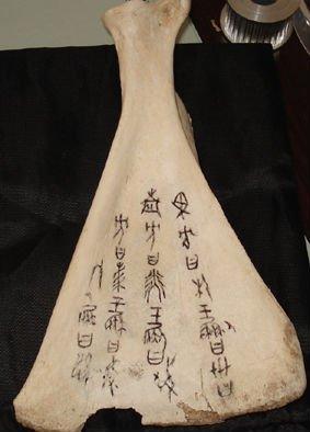 骨头激光雕刻(图2)